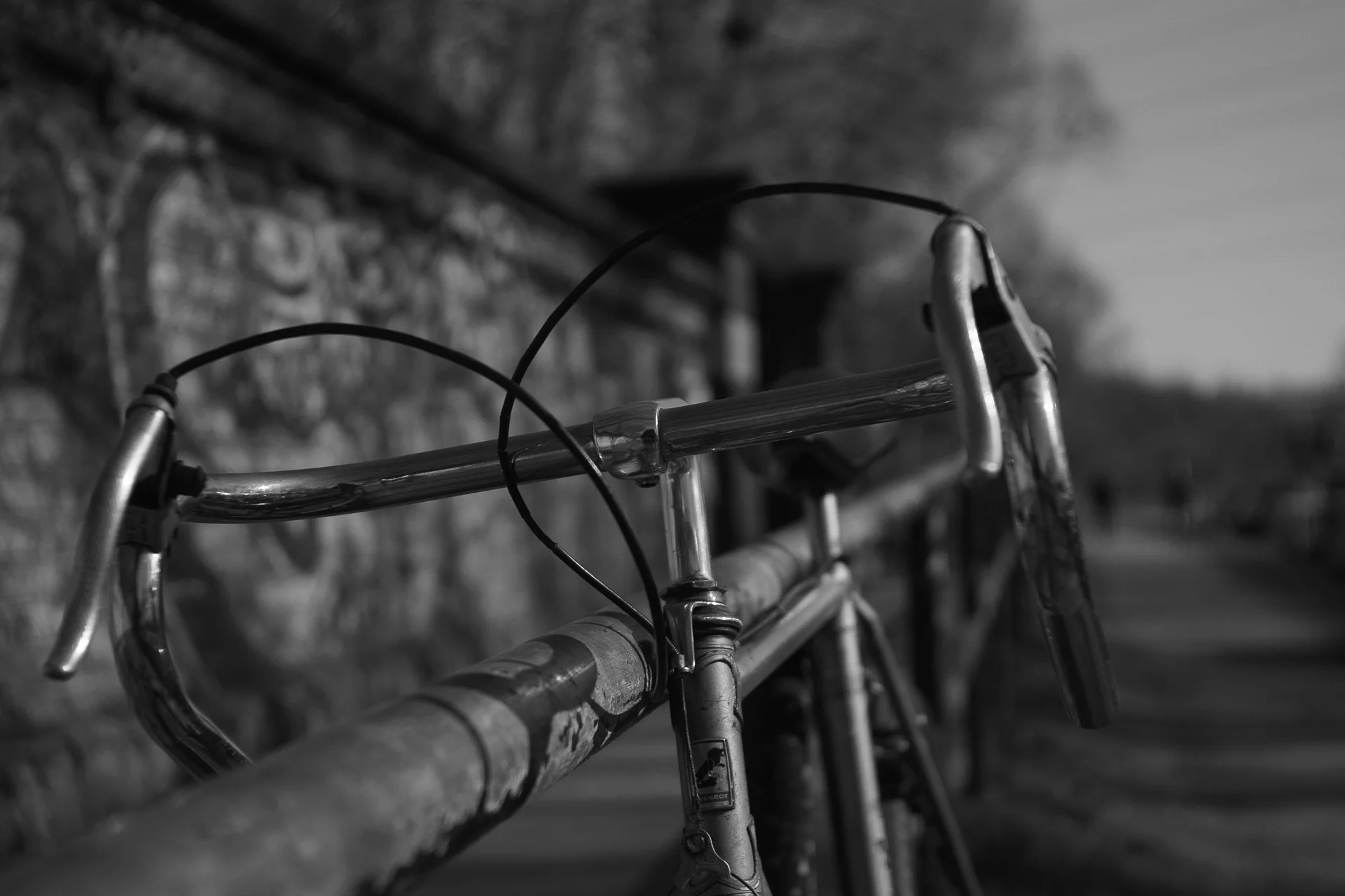 Black-and-white image of a bicycle handlebar and brake cable in an urban setting, showcasing sleek lines and textures. | Sony Alpha7 | N/A | 1/2500s | ISO 160