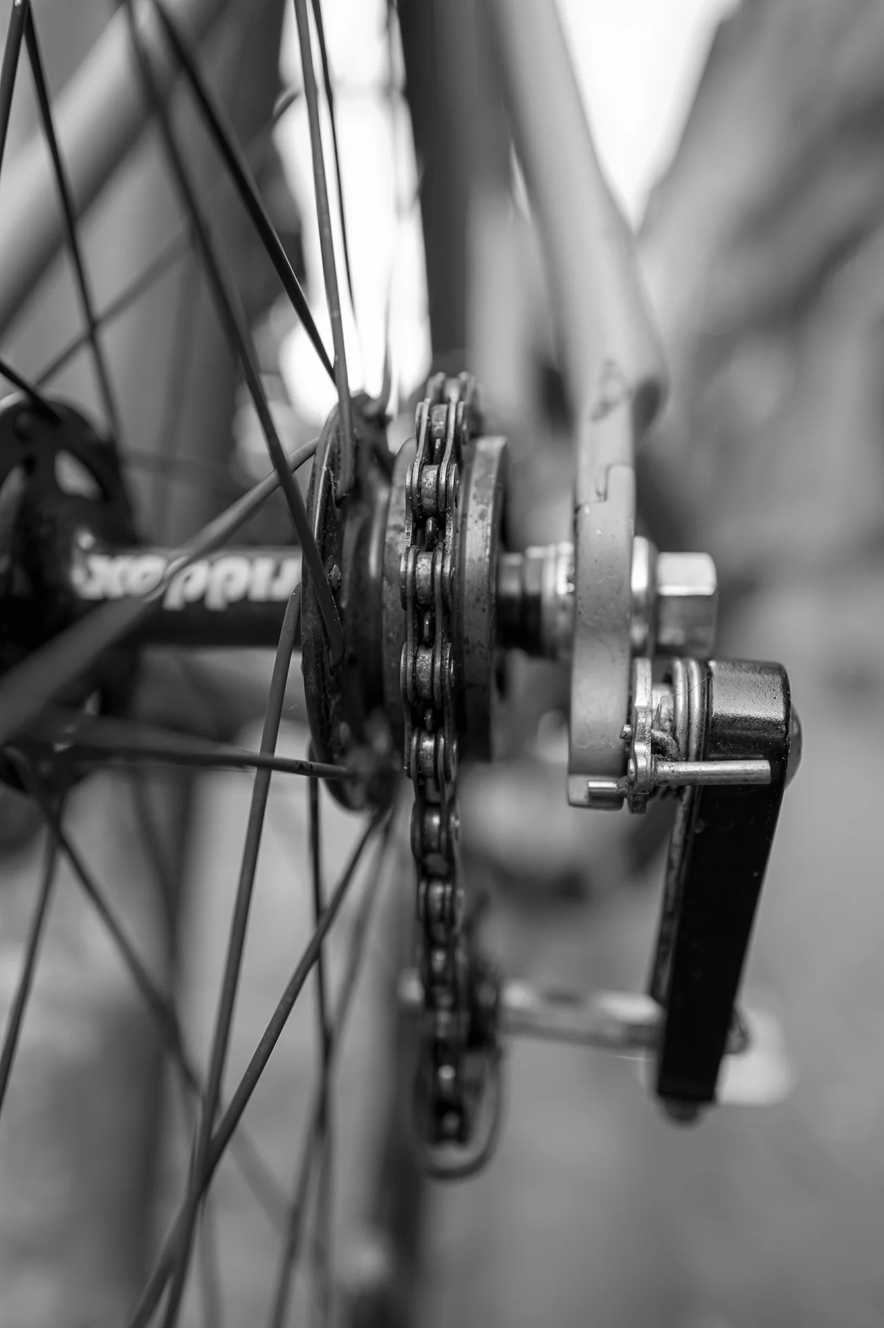 Black-and-white photo of a bicycle saddle with a coiled lock wrapped around the seat post, highlighting curves and contrast. | Leica SL | N/A | f2.8 | 1/400s | ISO 100