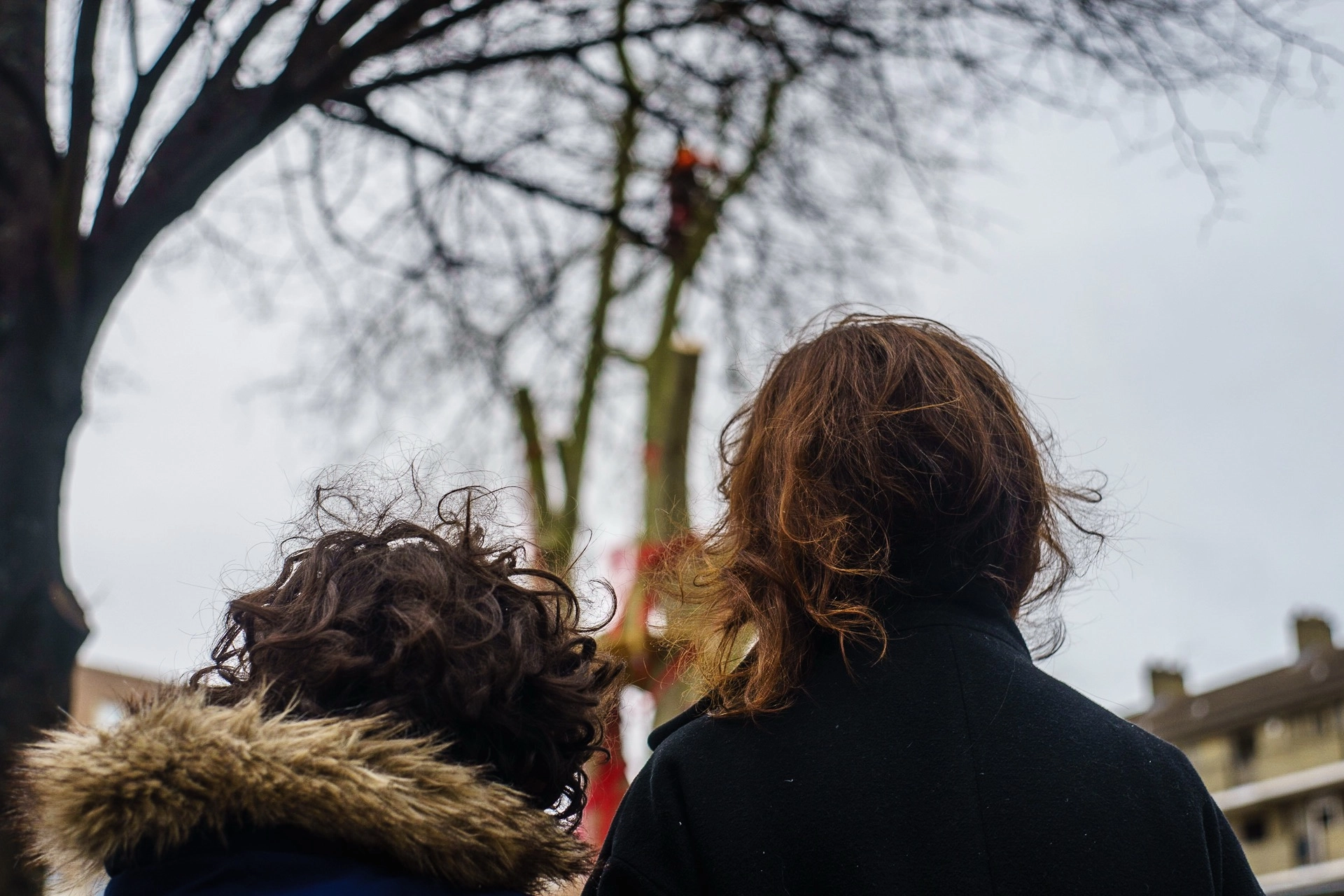 Local residents observing the cutting of the Happy Man Tree in Hackney. | Sony ILCE-7 (Alpha 7) | N/A | 1/200s | ISO 125